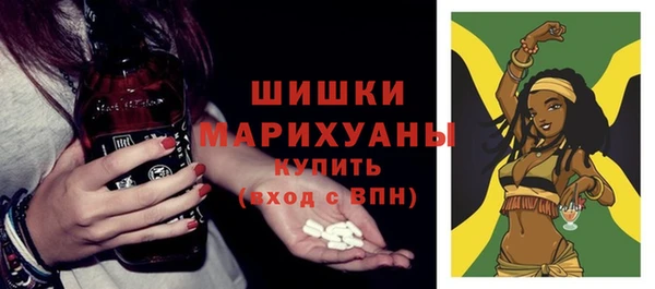 дживик Заводоуковск