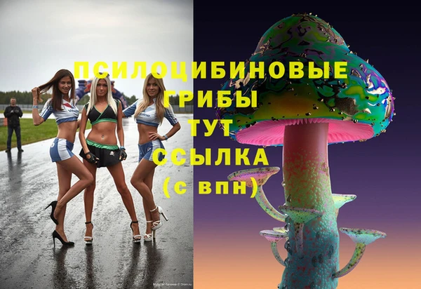 альфа пвп Заволжск