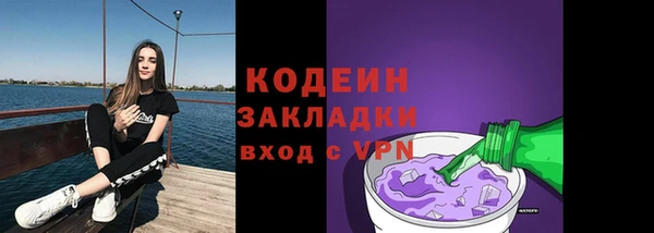 дживик Заводоуковск